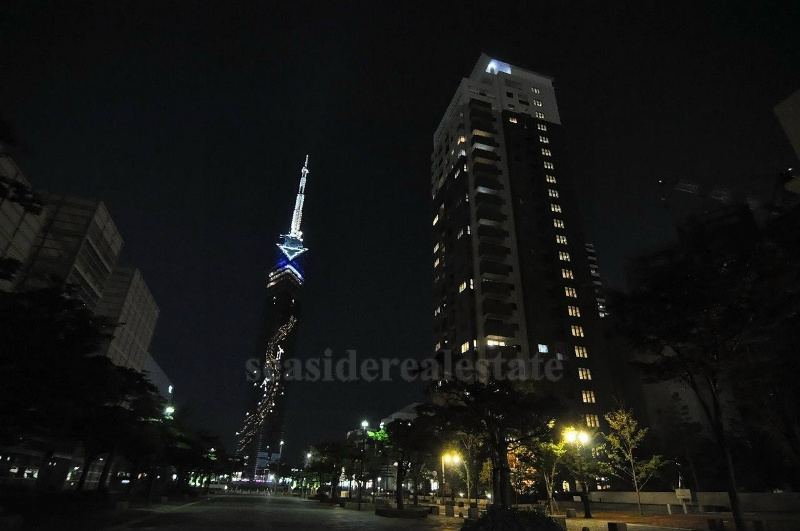 外観 グランドメゾン百道浜 その他11