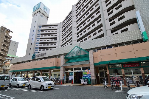 サニー平尾店 平尾ビル 周辺画像1
