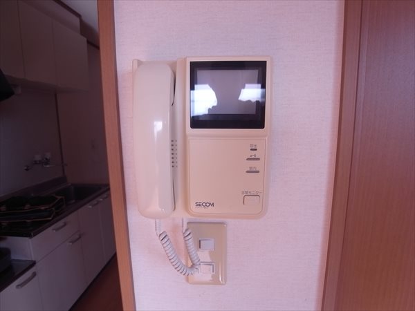 ﾊｲﾂﾗﾍﾞﾝﾀﾞｰ セキュリティ