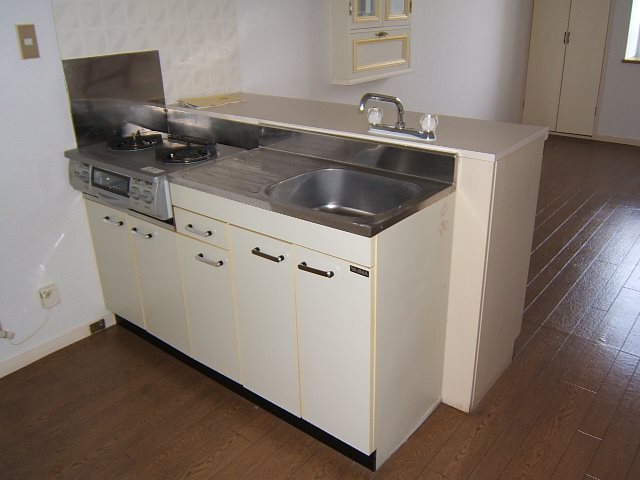 ﾊｲﾈｽｲﾇｲⅢ キッチン