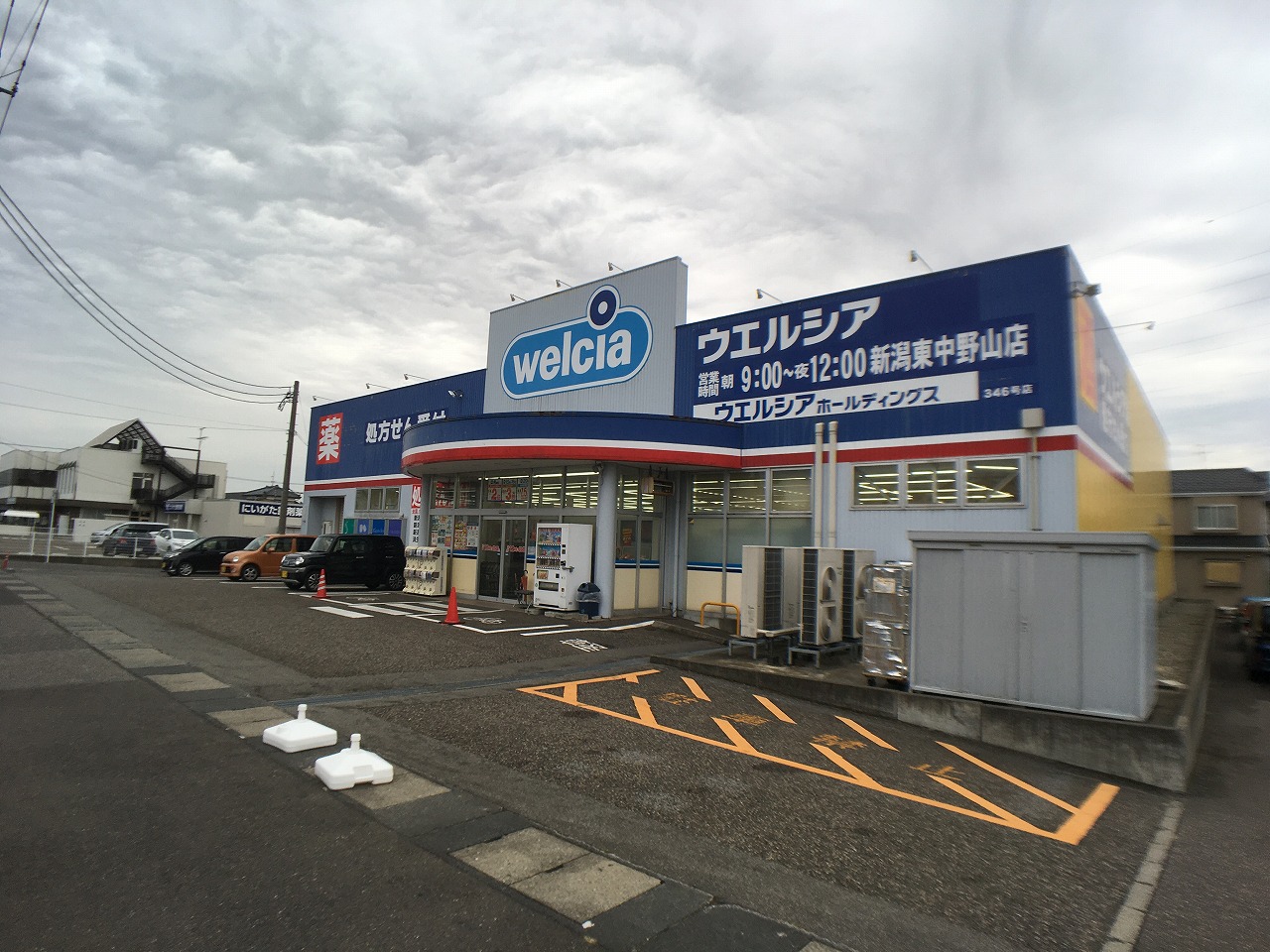 ﾉｸﾞﾁﾊｲﾂ東中島 ドラッグストア