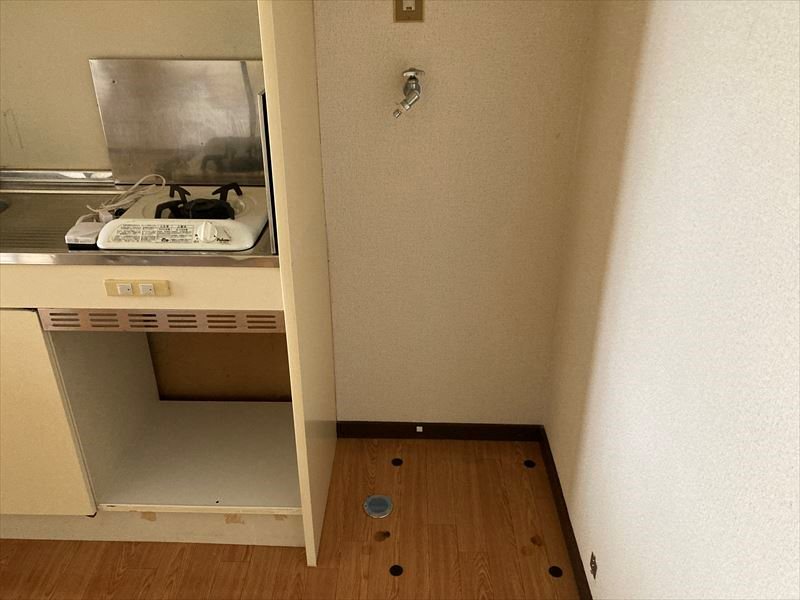 ﾊｲﾂﾊﾞｲﾊﾟｽ その他