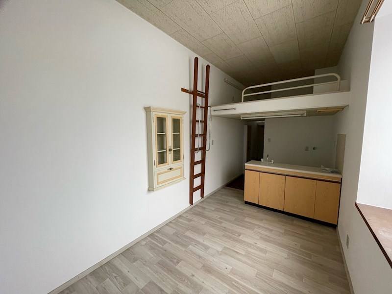 ｺｰﾎﾟｹｲｽﾞ その他