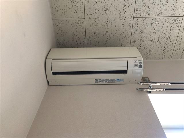 ｺｰﾎﾟｹｲｽﾞ その他