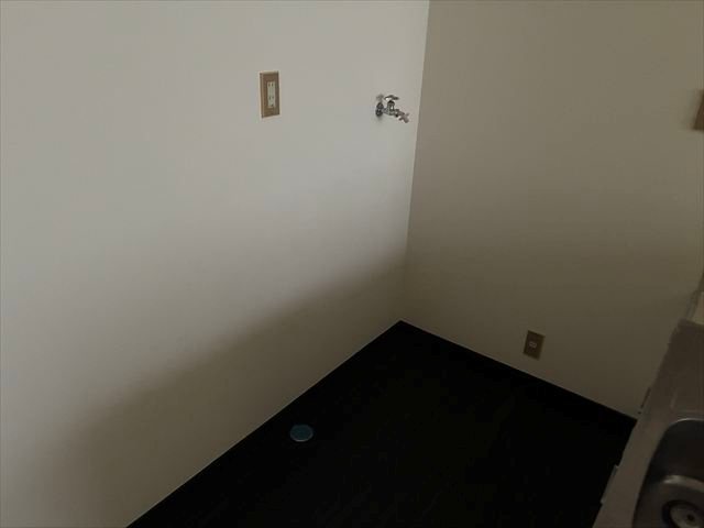 ﾊｲﾈｽｲﾇｲⅢ その他