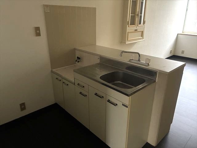 ﾊｲﾈｽｲﾇｲⅢ キッチン