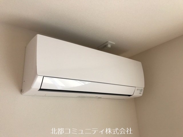 ｳﾞｨﾗｺｰﾄｻｸﾗ その他