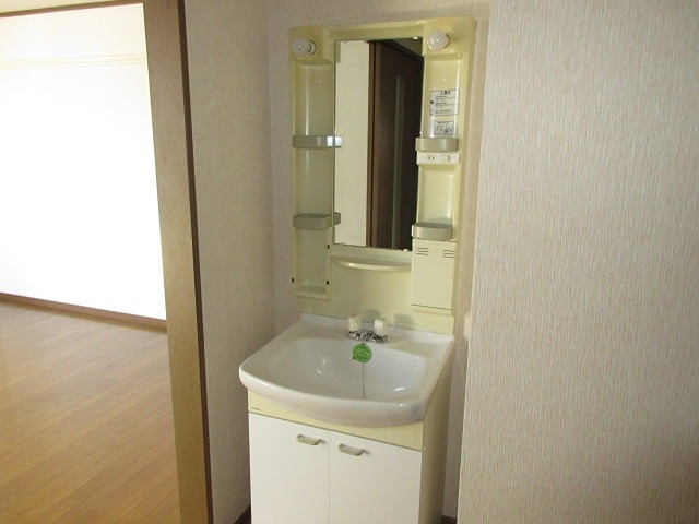 メゾンドM 洗面所