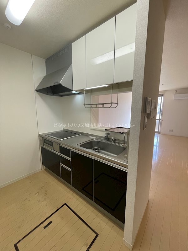 シャーメゾン・サウス加古川 キッチン