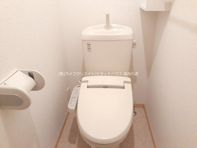 フィオリーレＣ その他1