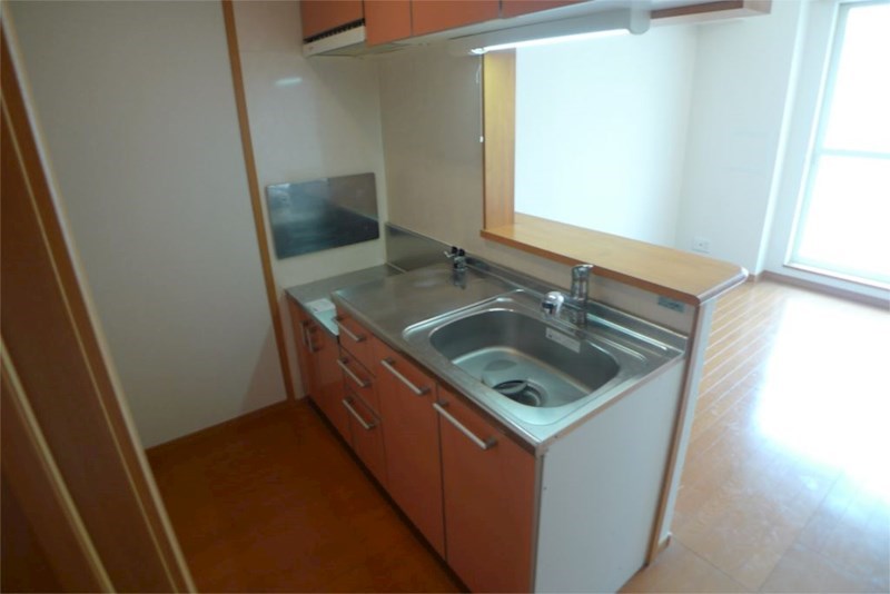 アミュ　ロータス その他13