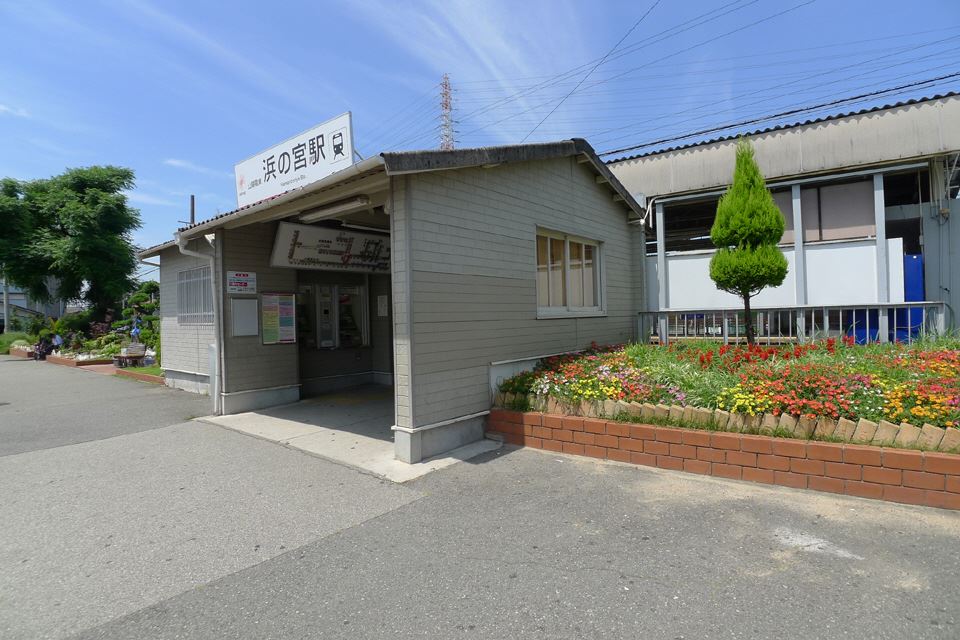 パイン　グローブ その他14