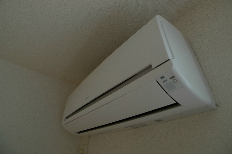 パイナリィ その他4