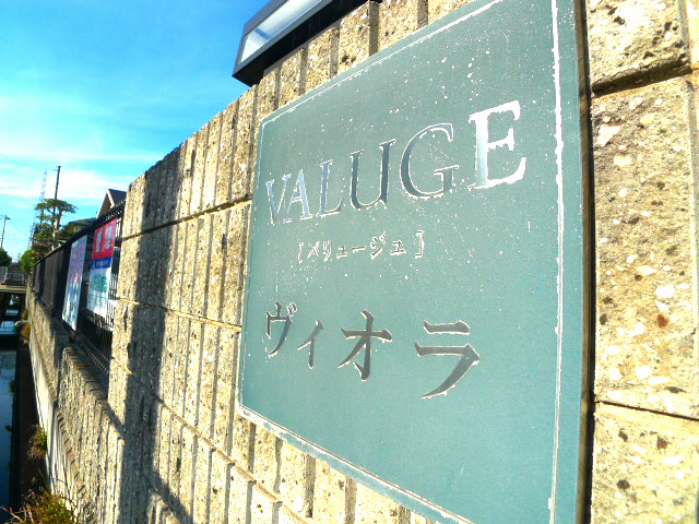 バリュージュヴィオラ その他1