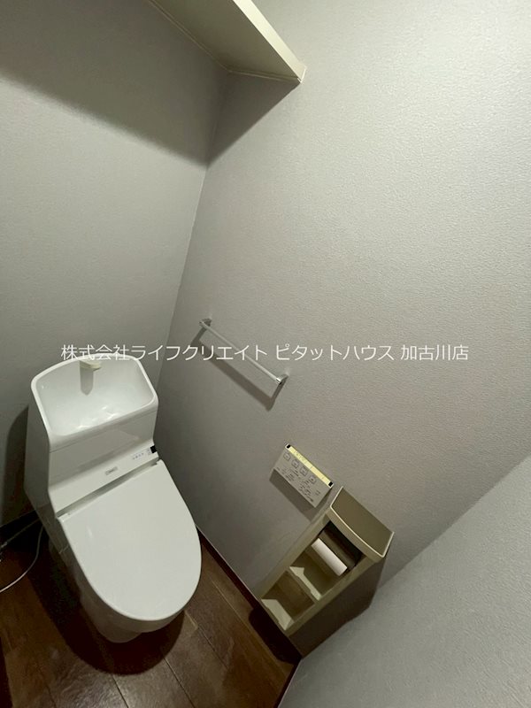 バリュージュヴィオラ その他1