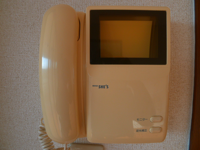 バリュージュヴィオラ その他2