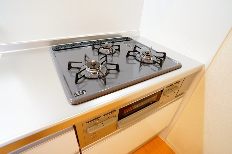 シャーメゾン　レーベン　Ａ棟 その他12