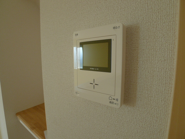 プルメリア その他4