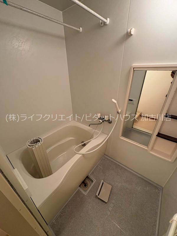 パインハイアット 風呂画像