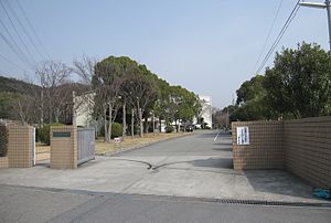 CozyCourt 周辺画像4