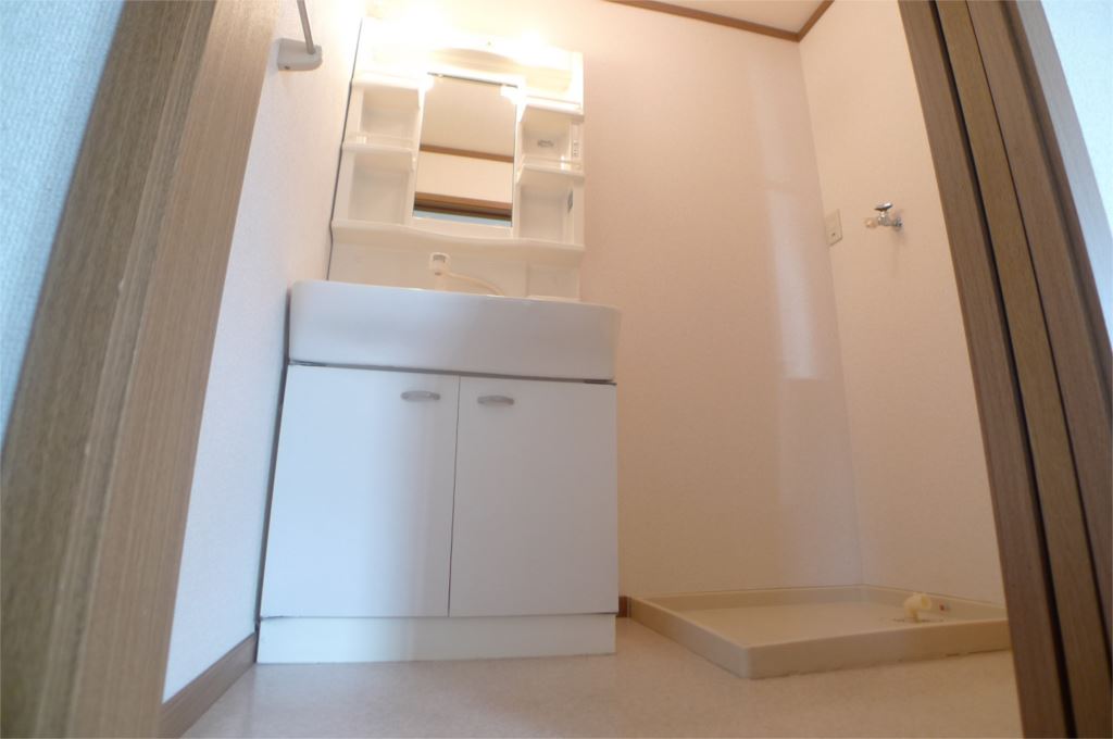 ポプルス その他2