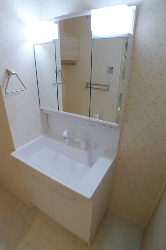 レジュール・ブリアン その他1