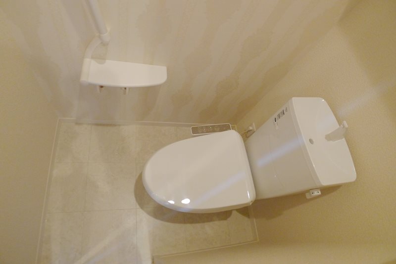 レジュール・ブリアン その他2