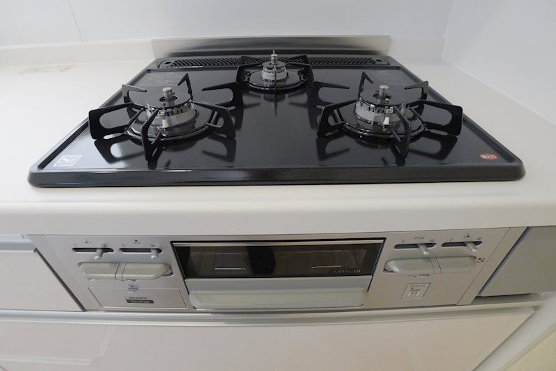 レジュール・ブリアン その他7