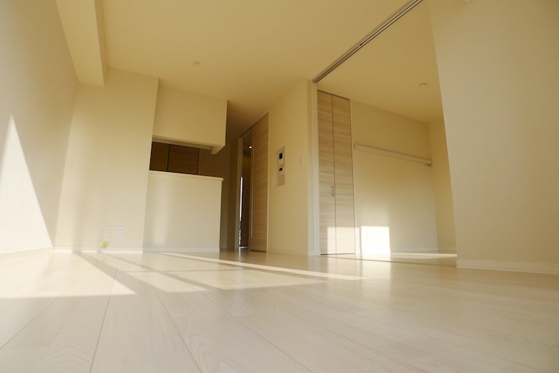 レジュール・ブリアン その他14