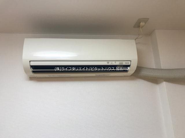 ルミエール その他4