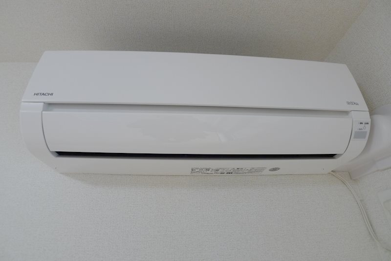 ダンディライオンⅠ その他5