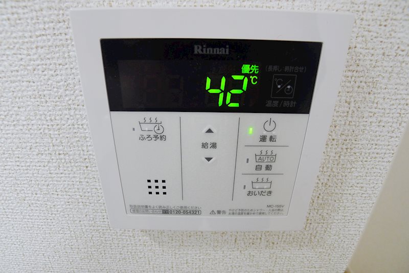 ダンディライオンⅠ その他11