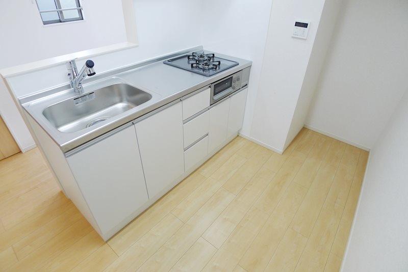 ダンディライオンⅠ その他13