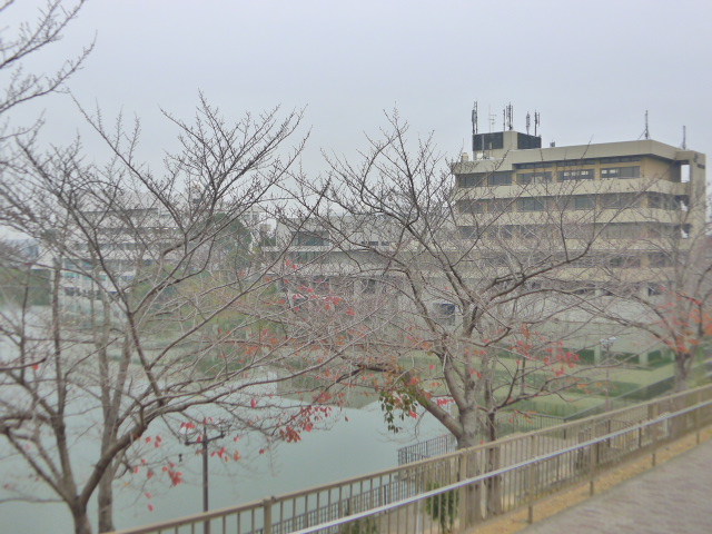 リーシェ 周辺画像5