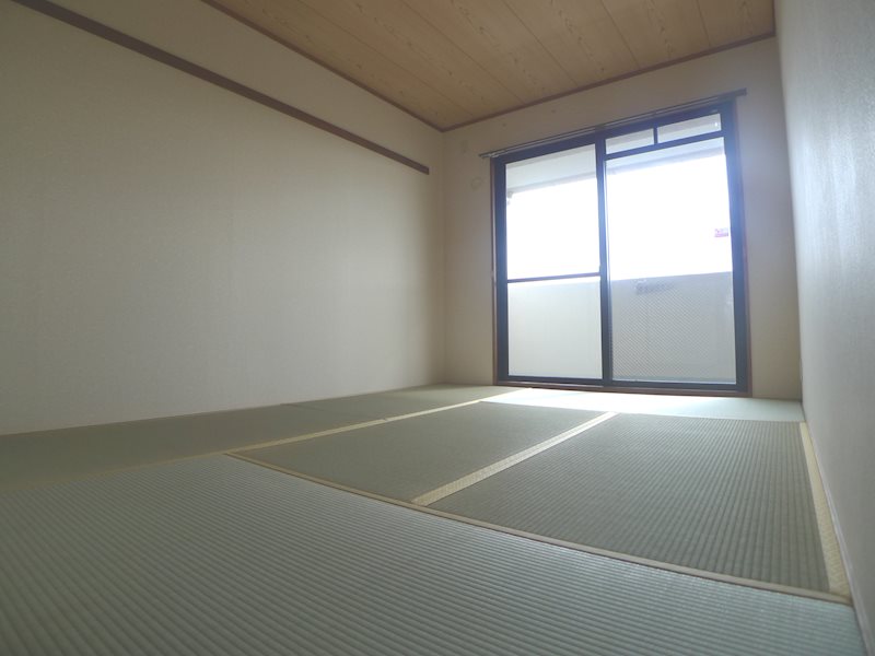 エンジェル尾上 その他15