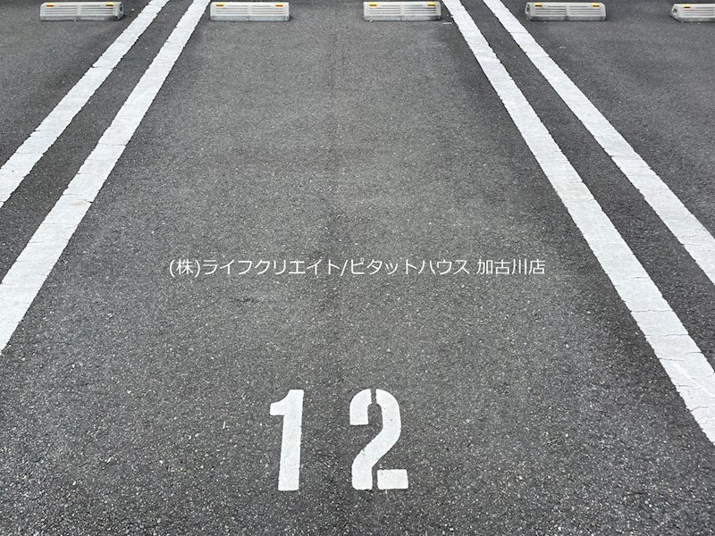 アラヤガーデン その他8