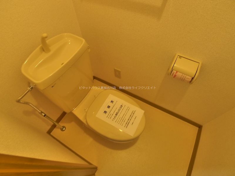 グレイスフル・ノーヴァ その他2