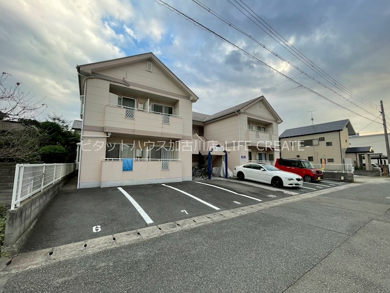 アムール その他6