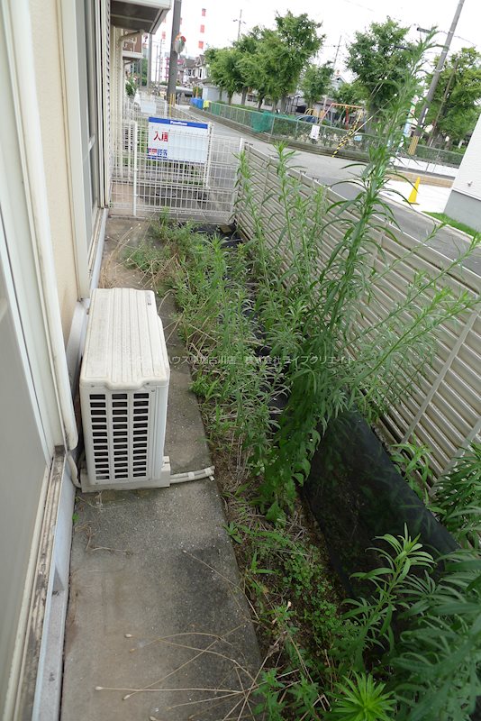 メゾンブランシュ ベランダ