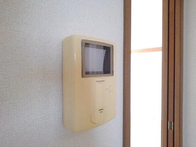 クリサンテピーヌスＡ その他5