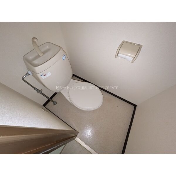 コンフォートエイジＡ その他1