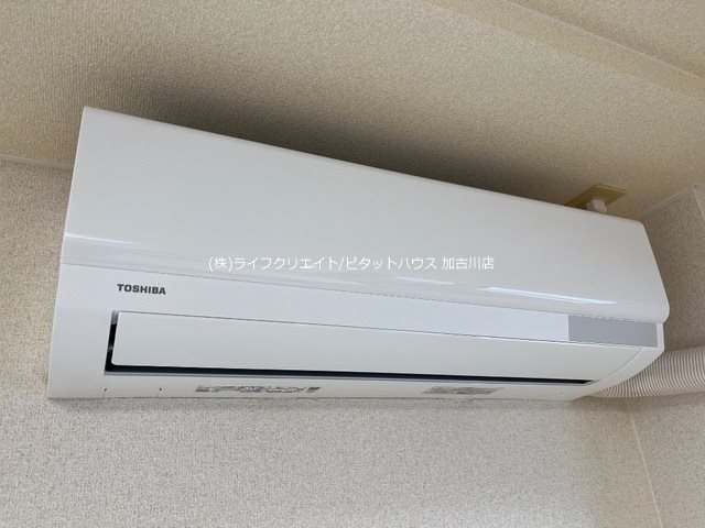 フェイバリット その他15