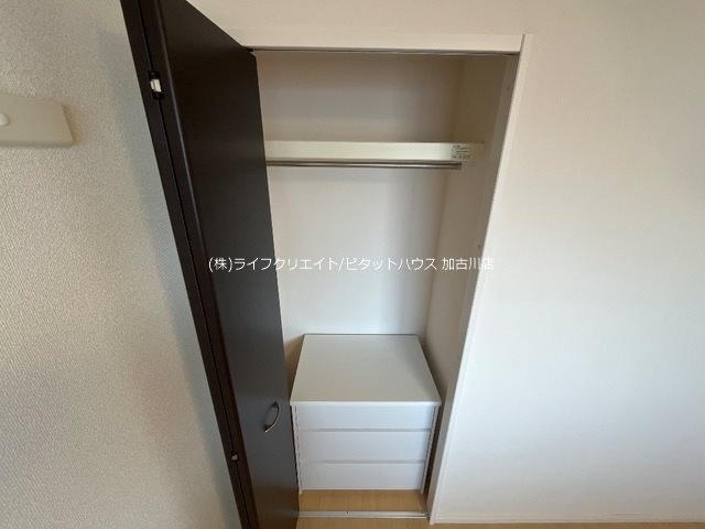 スカイ　アイビー その他3