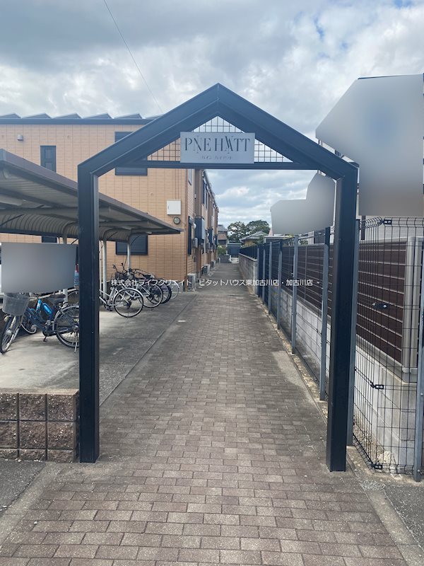 パインハイアット その他2