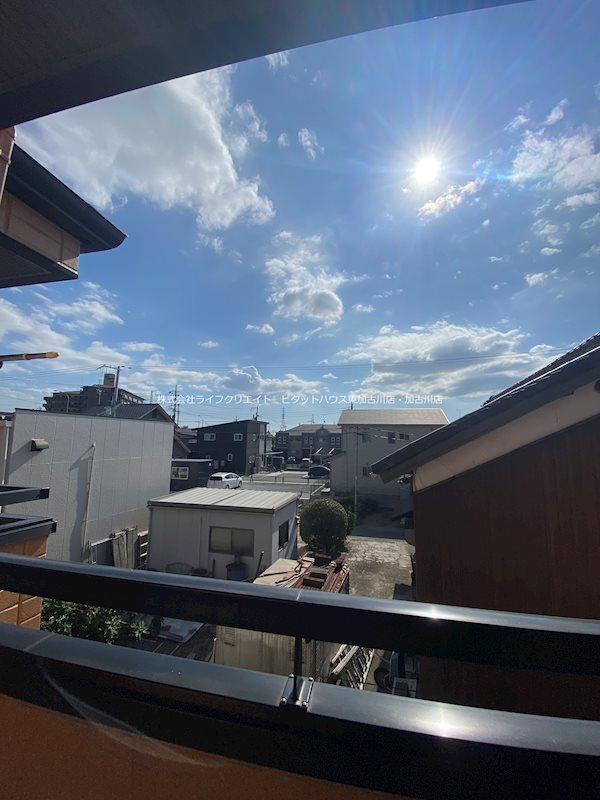 パインハイアット その他19