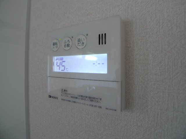 ブルーダリス その他4