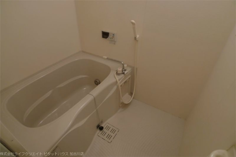 パナハイツ中津 風呂画像