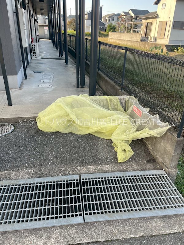 シェーネフェルト その他10