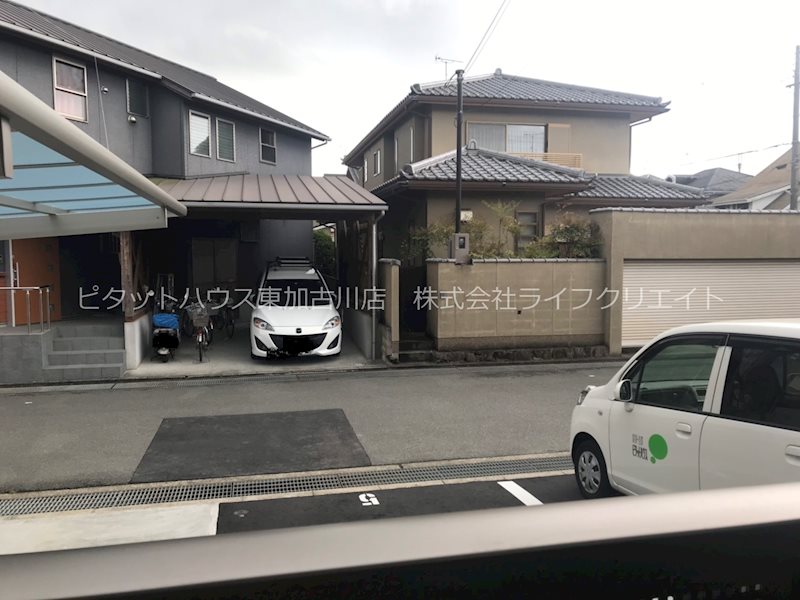 Shore　Bird その他4