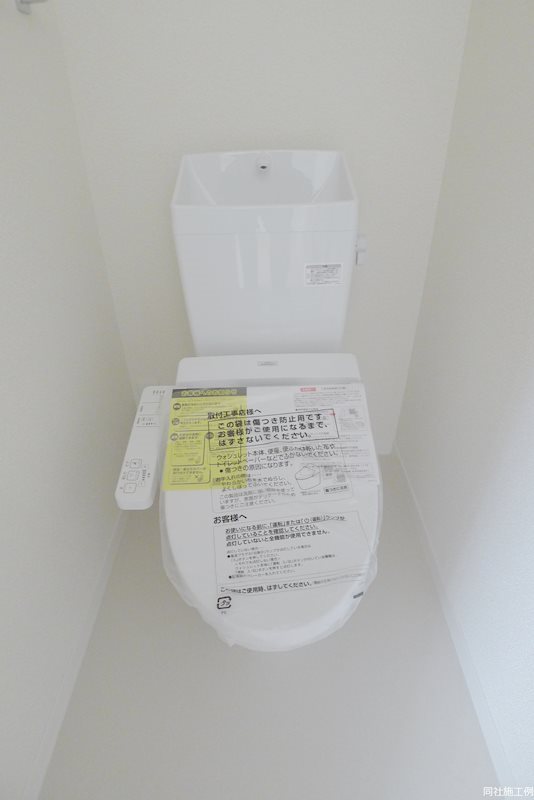 ケンタッキーブルーグラス その他2
